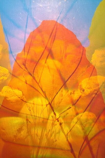 Light Sculpture: Humboldt Mountains, Stones and Grass - a Paint Artowrk by Juergen Eichler